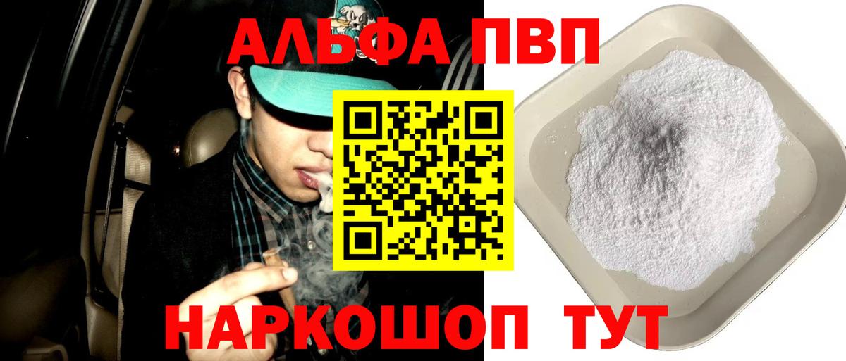 Alfa_PVP СК Новошахтинск