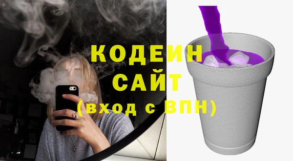индика Кирсанов