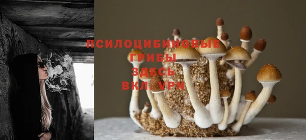 ГАЛЛЮЦИНОГЕННЫЕ ГРИБЫ Каменногорск
