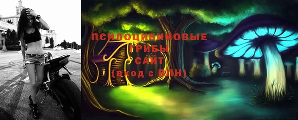 ГАЛЛЮЦИНОГЕННЫЕ ГРИБЫ Каменногорск