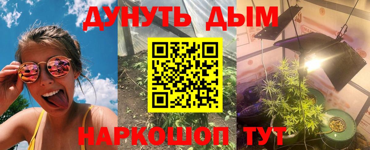 Шишки марихуана OG Kush  Канабис THC 21%  Новошахтинск  Вход с VPN 